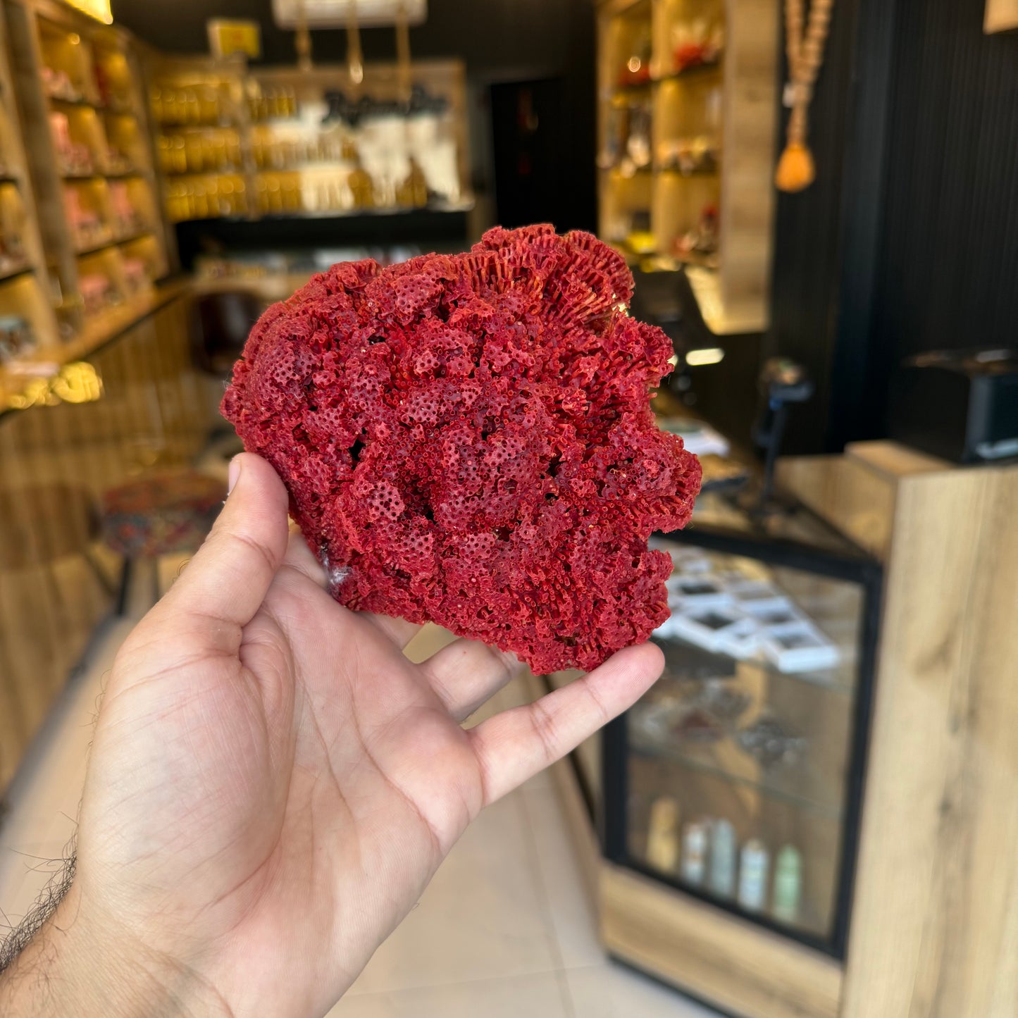 Natural Red Coral (Marjan) Specimen – 273 Grams