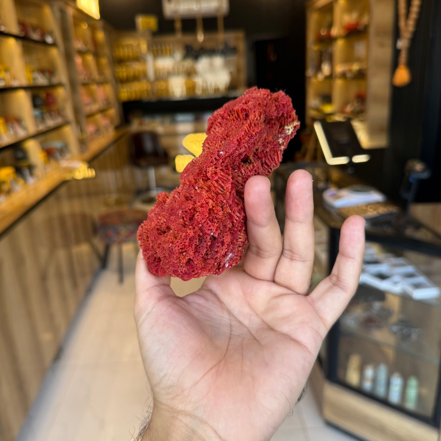 Natural Red Coral (Marjan) Specimen – 143 Grams