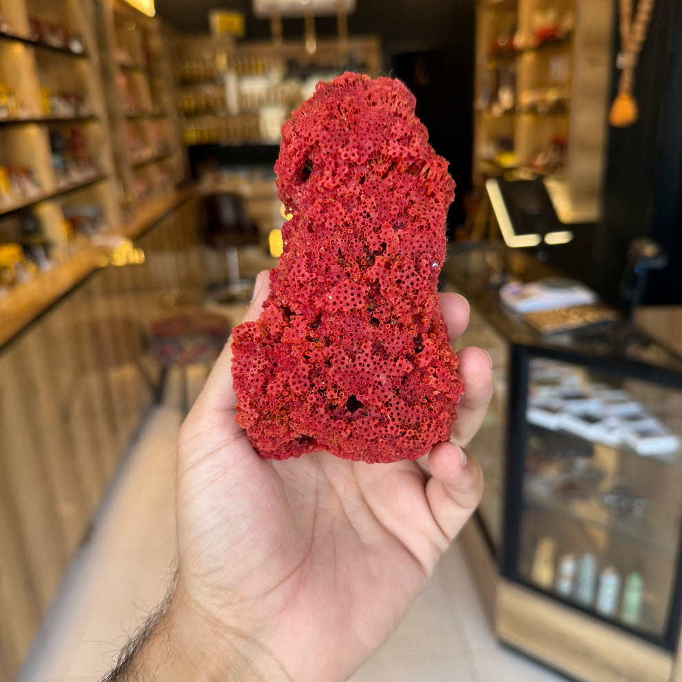 Natural Red Coral (Marjan) Specimens