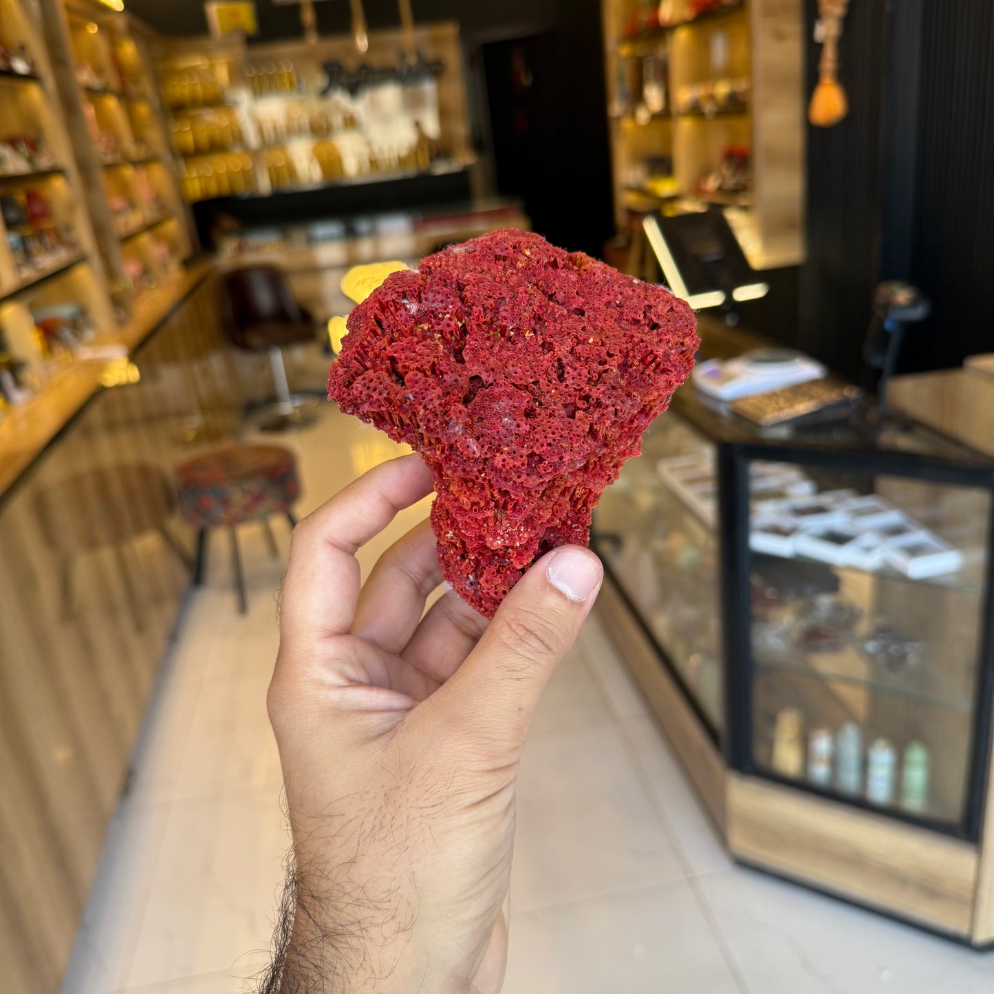 Natural Red Coral (Marjan) Specimen – 173 Grams