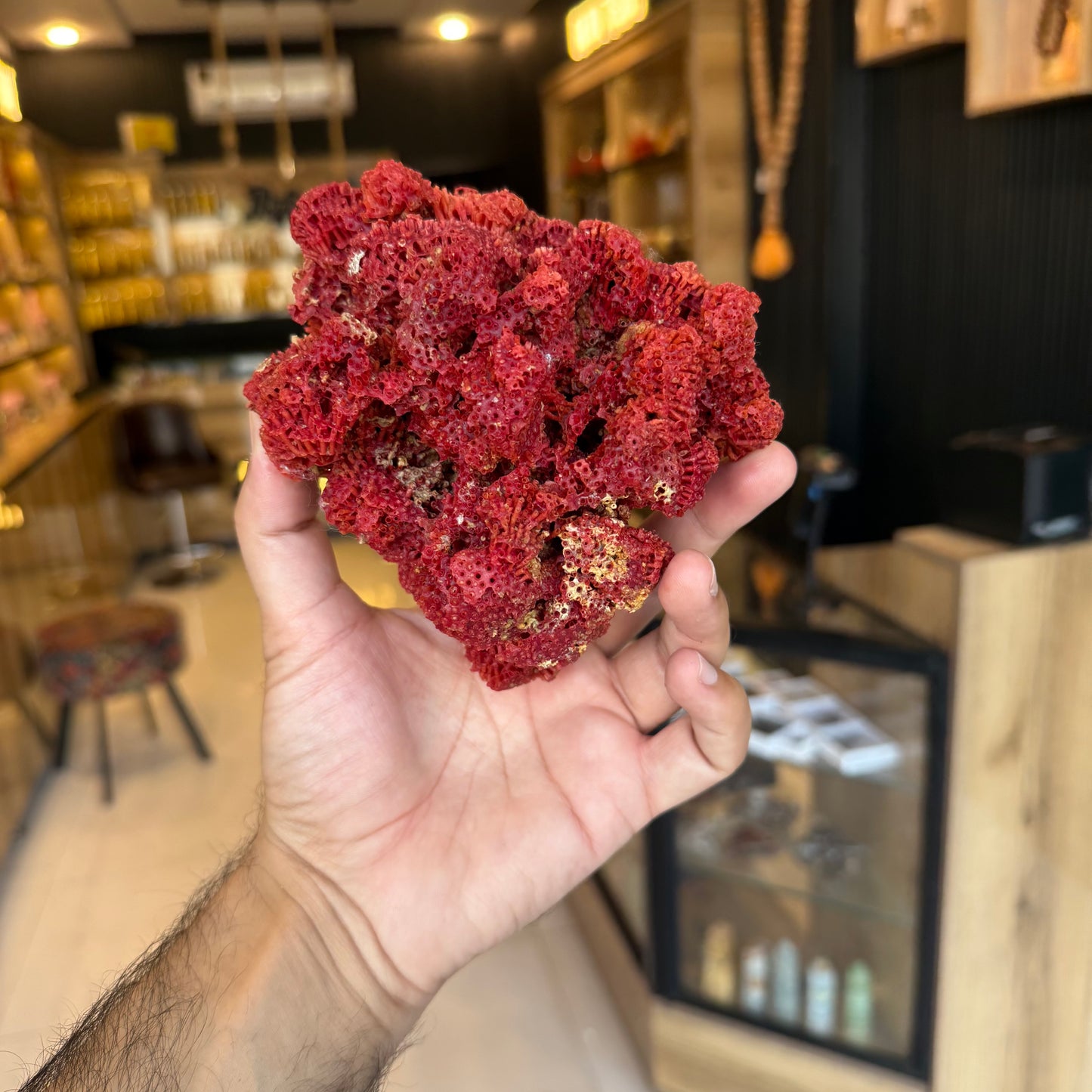 Natural Red Coral (Marjan) Specimen – 246 Grams