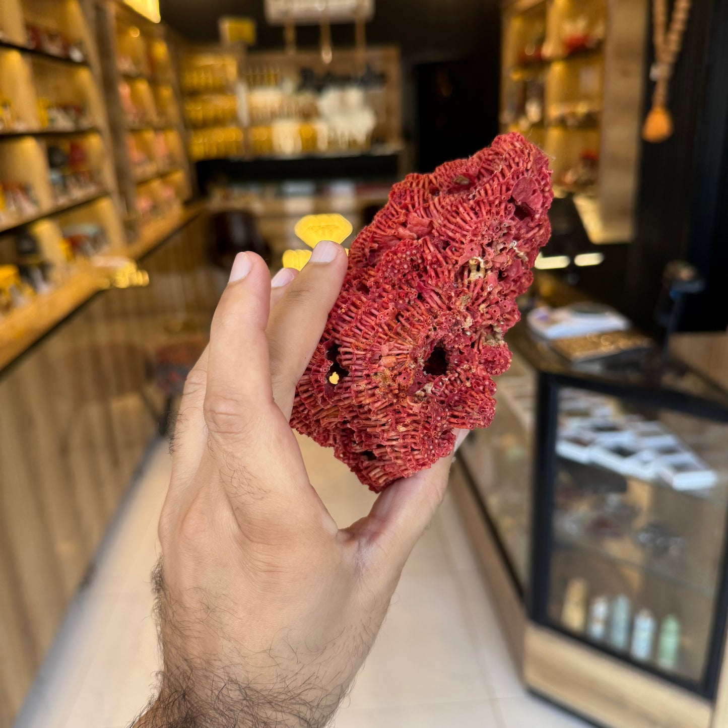 Natural Red Coral (Marjan) Specimen – 143 Grams