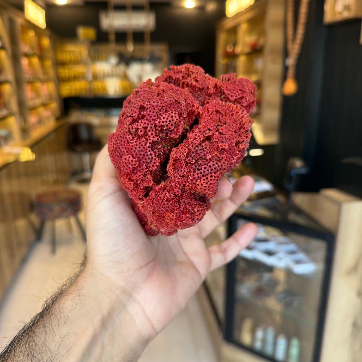 Natural Red Coral (Marjan) Specimen – 243 Grams