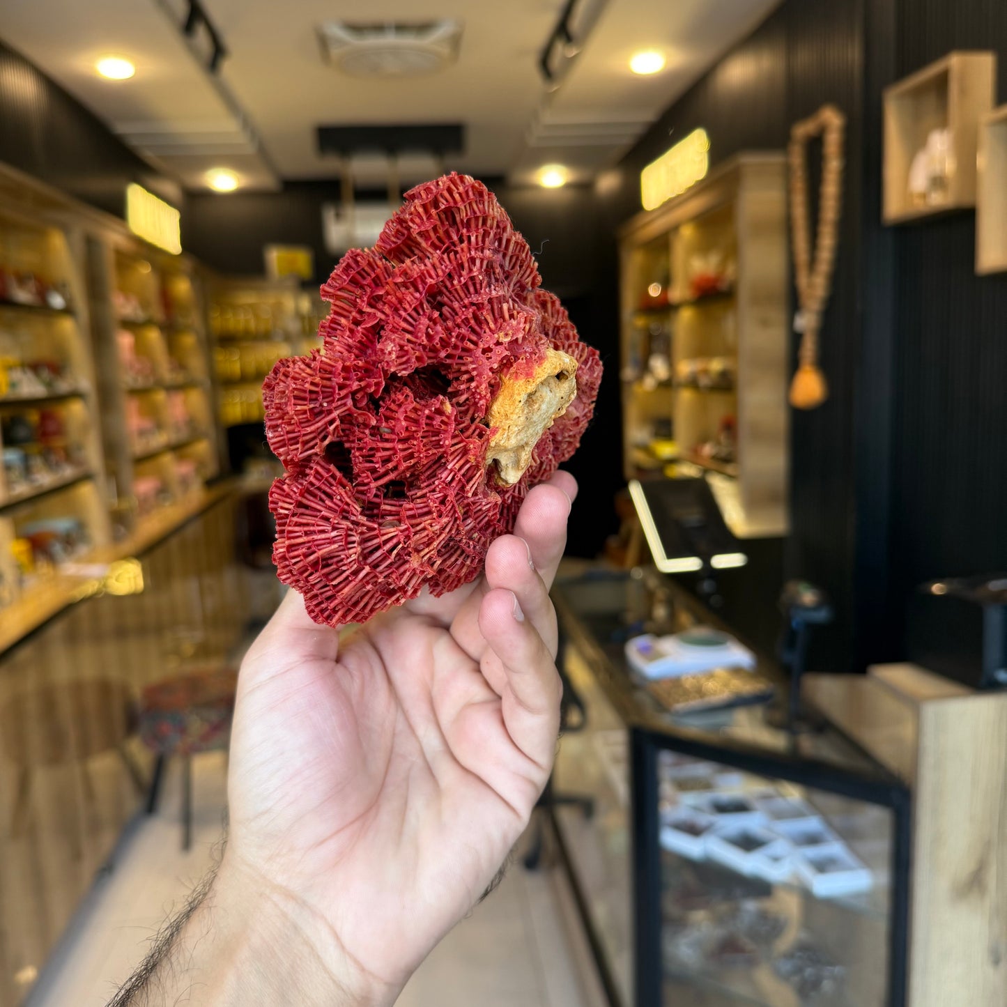 Natural Red Coral (Marjan) Specimen – 273 Grams