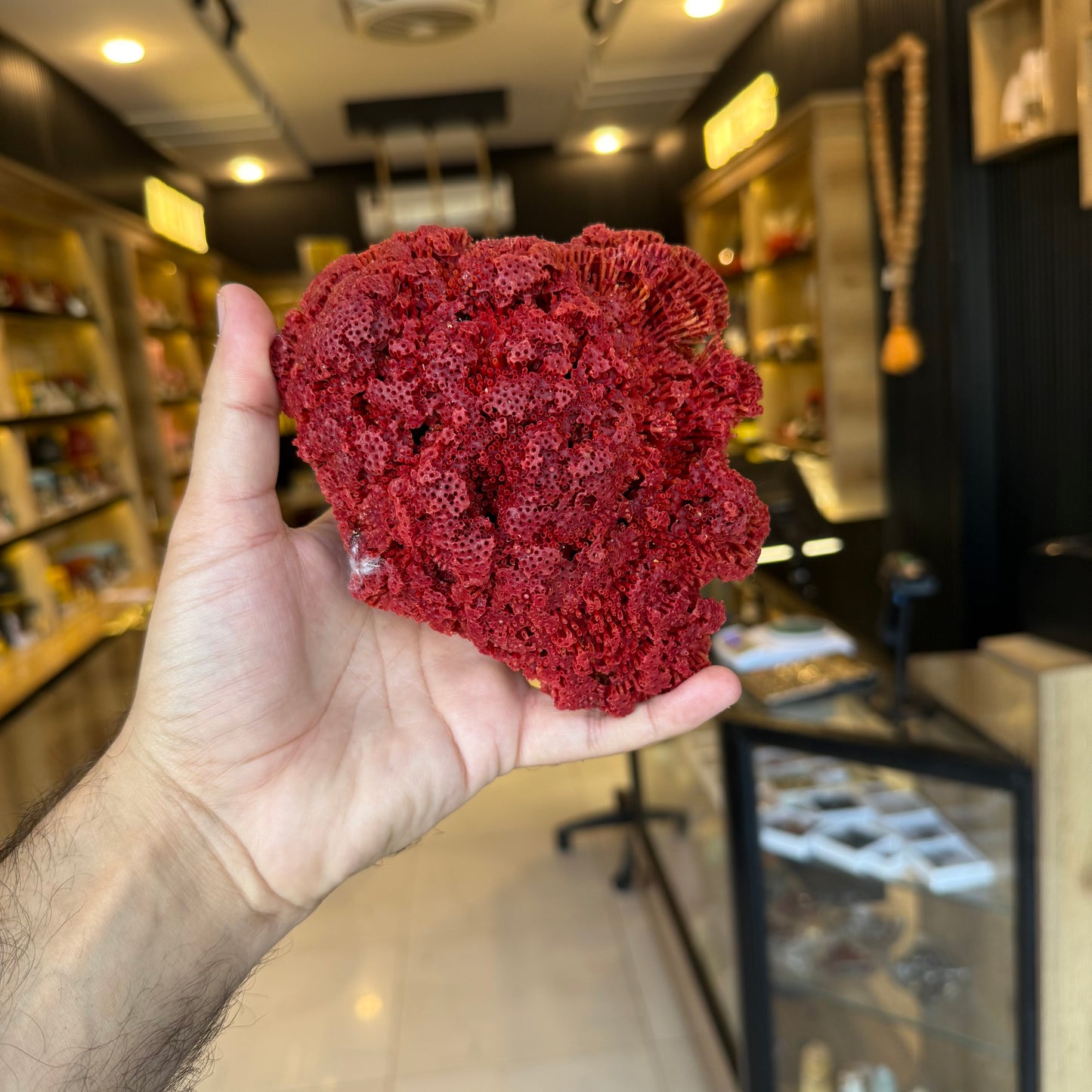 Natural Red Coral (Marjan) Specimen – 273 Grams