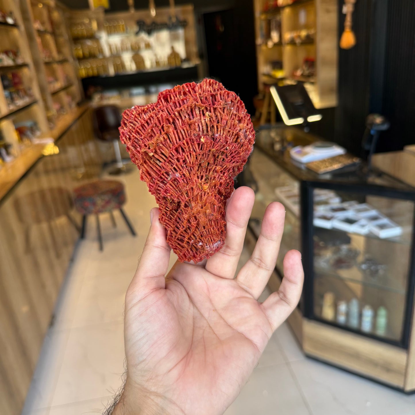 Natural Red Coral (Marjan) Specimen – 173 Grams